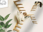 Cat Wall Shelves & Stairs - Image 3