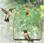 Songbird Essentials Sehhhums Copper Hummingbird Swing - Image 2