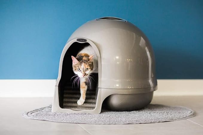 Petmate Booda Clean Step Cat Litter Box Dome- Brushed Nickel, Made in USA - Image 2