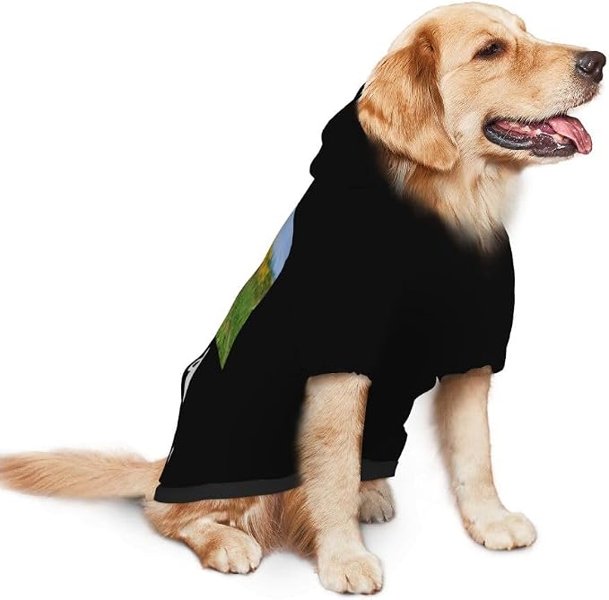 Customized Dog Hoodie with Name Logo Personalized Text Soft & Warm - Image 3