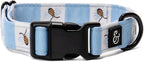 Lucy & Co. Bumbling Around Dog Collar, Adjustable Durable Dog Collar by LucyCo