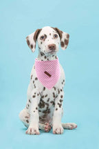 Lionet Paws Dog Bandana Washable Cotton Handkerchief Scarf Triangle Bandana - Image 5
