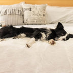 PupProtector Waterproof Throw Blanket - Image 7