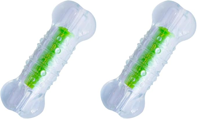 Petstages Crunchcore Bone Water Bottle Alternative Dog Chew Toy by Petstages