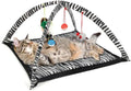 Cat Play Tent by Unknown