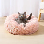 Cat Beds for Indoor Cats - Image 7