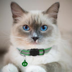 2 Pack Cat Collars Quick Release Reflective Kitten Collar - Image 3