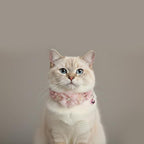 2 Pack Cat Collar Pink Floral - Image 2