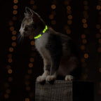 Cat Collars Breakaway with Bell - Image 7