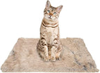PJYuCien Dog Blankets for Small Dogs Washable by PJYuGienPetGarden