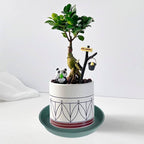 6 Pack Plant Saucer Tray Green, 4 6 8 10 12 13 15 17 19 inch Pot Saucers - Image 5