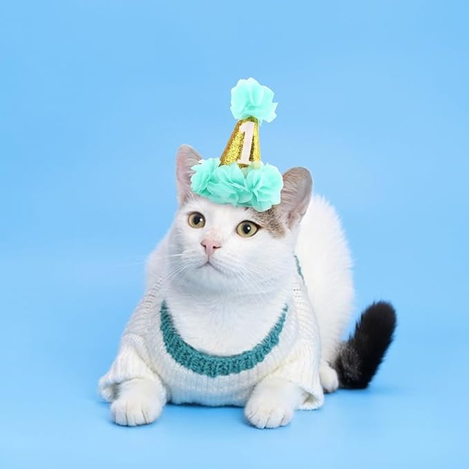 Stock Show 1st Pet Birthday Cone Hat Dogs Cats Holiday Party Hat Headwear - Image 5