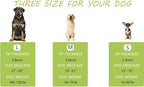 Prong Pinch Collar for Dogs - Image 6