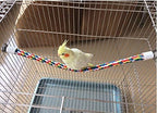 Bird Rope Perches, Parrot Toys 36 inches Rope Bungee Bird Toy - Image 8