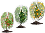 3Pcs Plant Covers from Insects, 3Size Bird Netting Barrier by Waybas