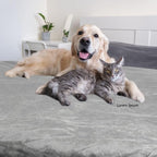 Waterproof Pet Blanket - Image 8