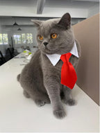 6 Pieces Pets Dog Cat Bowtie Pet Sunglasses and Summer Pet Straw Hat - Image 3