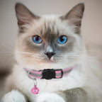2 Pack Cat Collars Quick Release Reflective Kitten Collar - Image 3