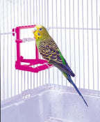 Penn-Plax Bird Life - Image 4