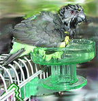 Lixit Quick Lock Bird Cage Bath - Image 5