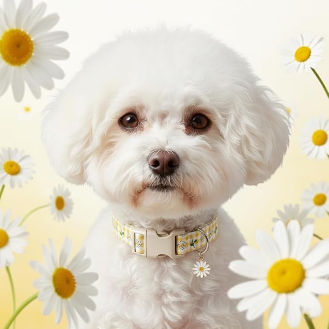 Cute Dog Collar, Spring Summer Design Floral Collar - Image 8