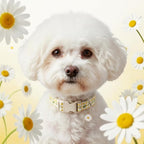 Cute Dog Collar, Spring Summer Design Floral Collar - Image 7