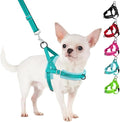 SlowTon No Pull Small Dog Harness and Leash Set, Puppy Soft Vest Harness Neck & by SlowTon