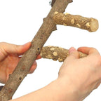Bird Ladder Perch Cage Nature Wood Stand Parrot Chew Toy - Image 6