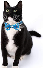 3 Pack Cat Collar Breakaway - Image 6