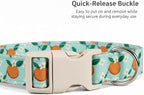 Dog Collar, Spring Summer Dog Collar - Image 2