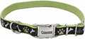 Coastal Pet - Ribbon - Adjustable Dog Collar by CoastalPet