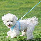 AIITLE Dog Harness, No-Pull Cat Harness - Image 4