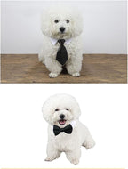 8 Pieces Pets Dog Cat Bowtie Pet Sunglasses Pet Costume Adjustable Formal - Image 6