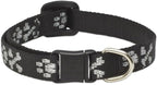 LupinePet Originals 1/2" Bling Bonz Cat Safety Collar by LupinePet