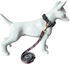 SuperBuddy Dog Collar and Leash, Breathable Adjustable Dog Collar-Safe - Image 5