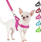 SlowTon No Pull Small Dog Harness and Leash Set, Puppy Soft Vest Harness Neck & by SlowTon