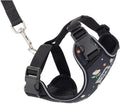 RC Pets Adventure Kitty Cat Harness | Adjustable Airmesh Vest by RCPets