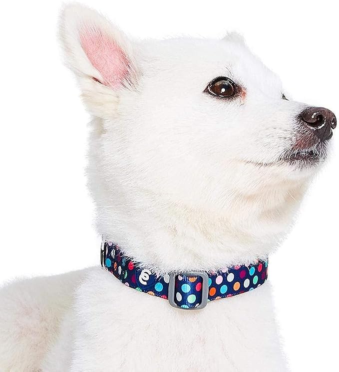 Blueberry Pet Essentials Rainbow Polka Dots Adjustable Dog Collar, Neck - Image 3