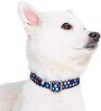 Blueberry Pet Essentials Rainbow Polka Dots Adjustable Dog Collar, Neck 18"-26" - Image 4