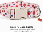 Small Dog Collar, Cute Dog Collar - Image 4