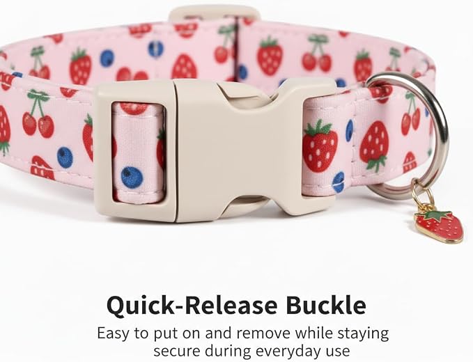 Pink Dog Collar, Girl Dog Collar - Image 3