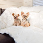 PupProtector Waterproof Throw Blanket - Image 4