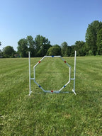 Dog Agility Training Equipment Course Set, Weave Poles, Dog Agility Jump - Image 7