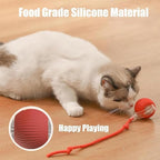 Valentines Day Gifts 2025 New Electric Dog Ball Toy, Electric Ball Dog Toy - Image 4
