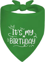 It's My Birthday Green Dog Bandana, Birthday by Unknown