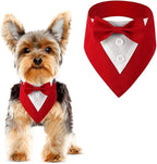 Formal Dog Tuxedo Adjustable Pet Collar by DOGTACT
