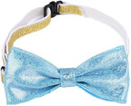 Happy Birthday Dog Party Supplies Kit - Image 9