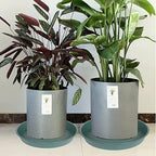 6 Pack of 7 inch Plant Saucer, Heavy Duty Plastic Plant Water Tray 7 inch Round - Image 5