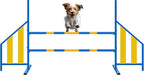 Agility Wing Jumps with Bar Dog Training Hedge Metal Frame Adjustable Pet by Seenelling
