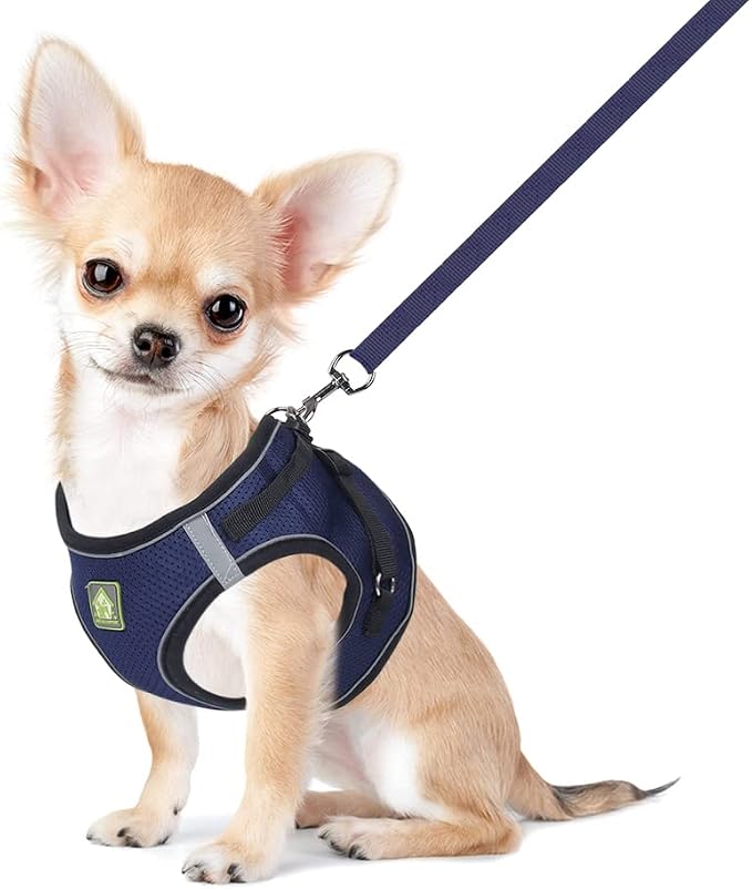 FEimaX Dog & Cat Harness Set, No Pull Soft Mesh Reflective Adjustable Pet by FEimaX